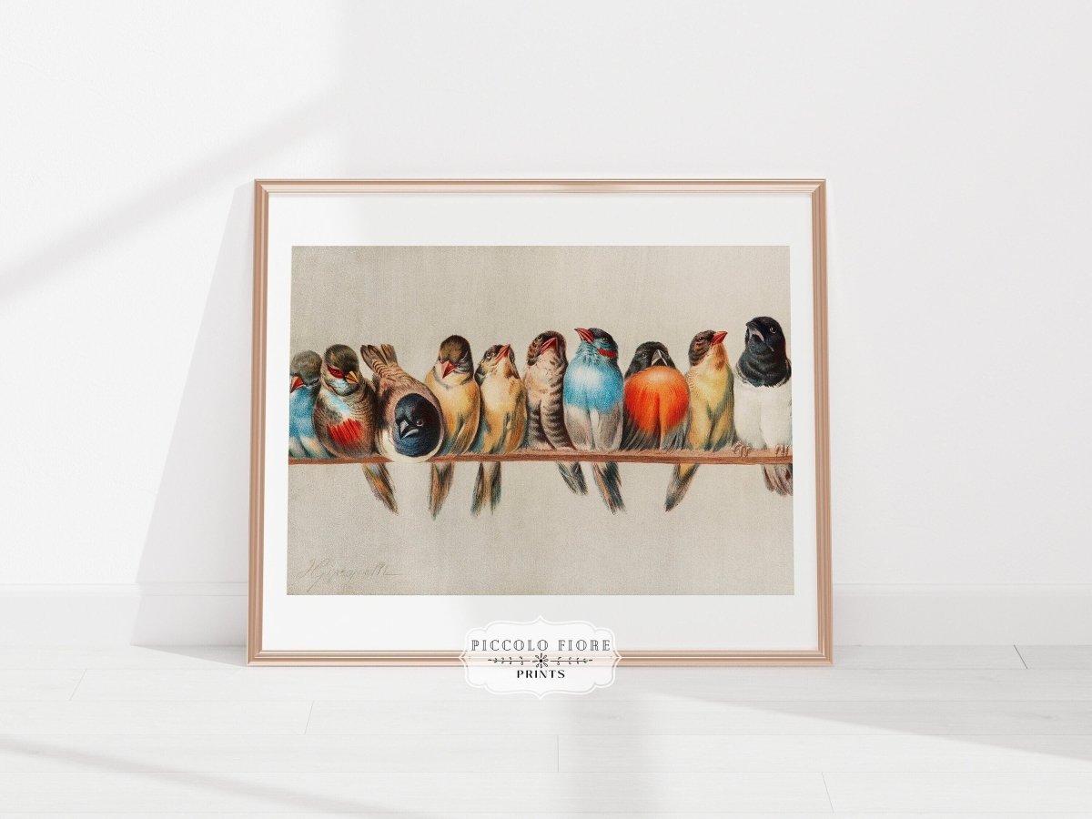 Perch of Small Birds | P30.1 - Single Art Prints - Piccolo Fiore Prints