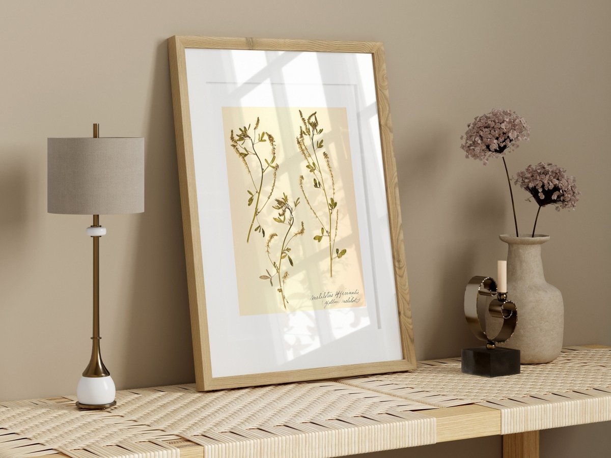 Pressed Flower Art Print | Clover | P435 - Single Art Prints - Piccolo Fiore Prints