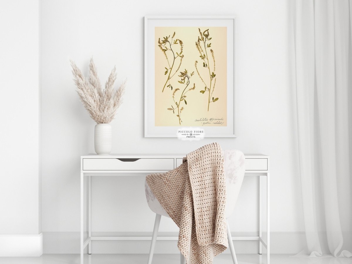 Pressed Flower Art Print | Clover | P435 - Single Art Prints - Piccolo Fiore Prints