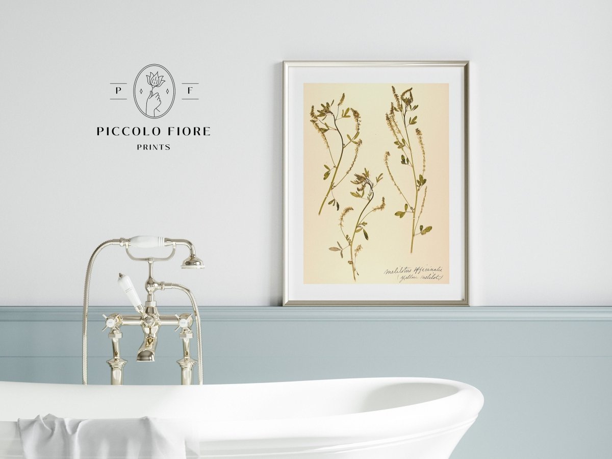 Pressed Flower Art Print | Clover | P435 - Single Art Prints - Piccolo Fiore Prints