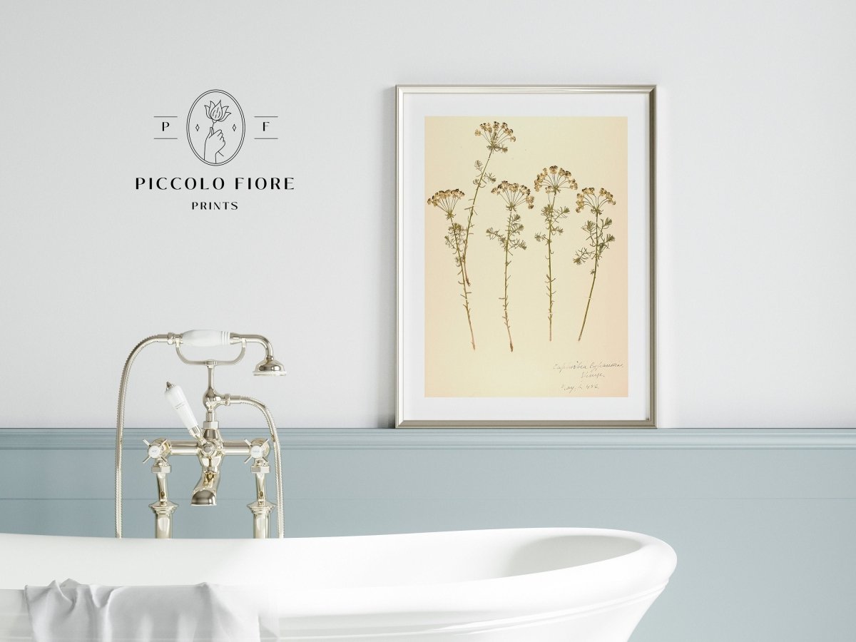 Pressed Flower Art Print | Euphorbia | P431 - Single Art Prints - Piccolo Fiore Prints
