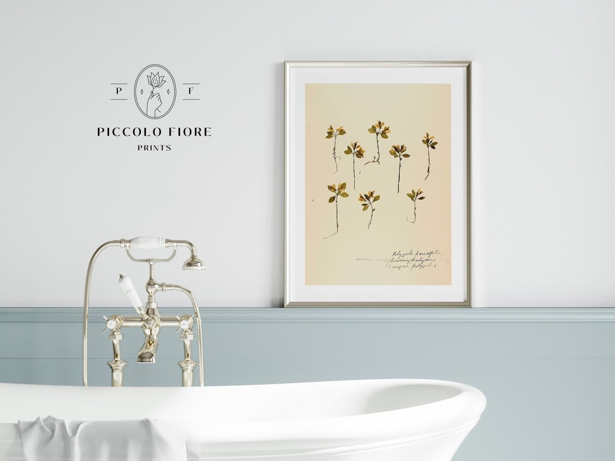Pressed Flower Art Print | Milkwort | P433 - Single Art Prints - Piccolo Fiore Prints