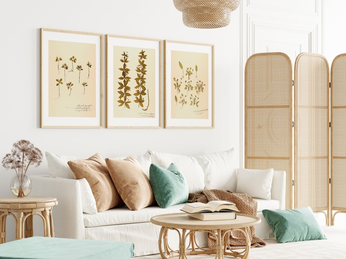 Pressed Flowers | Gallery Wall Set | 6 Prints | B6 - 1 - Gallery Wall Set - Piccolo Fiore Prints