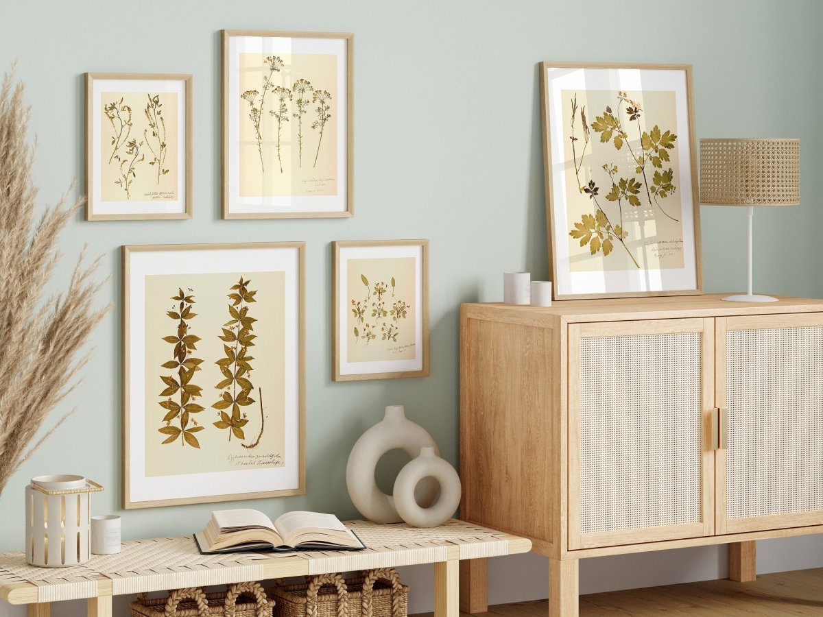Pressed Flowers | Gallery Wall Set | 6 Prints | B6 - 1 - Gallery Wall Set - Piccolo Fiore Prints