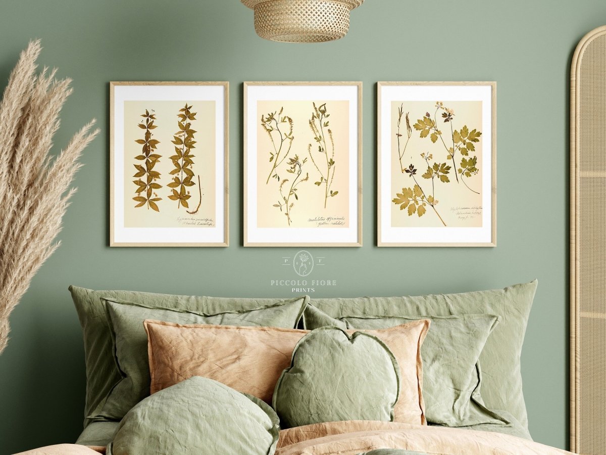Pressed Flowers | Gallery Wall Set | 6 Prints | B6 - 1 - Gallery Wall Set - Piccolo Fiore Prints