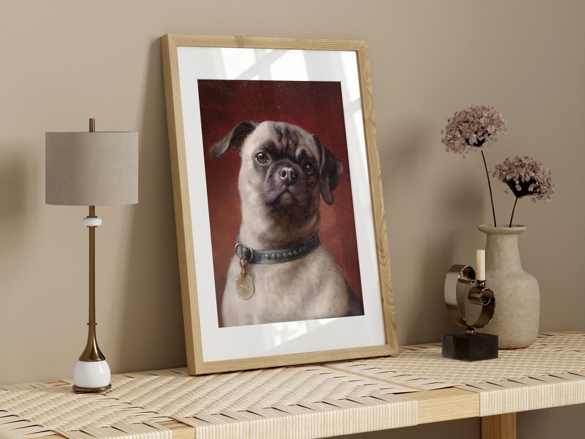 Pug | P437 - Single Art Prints - Piccolo Fiore Prints