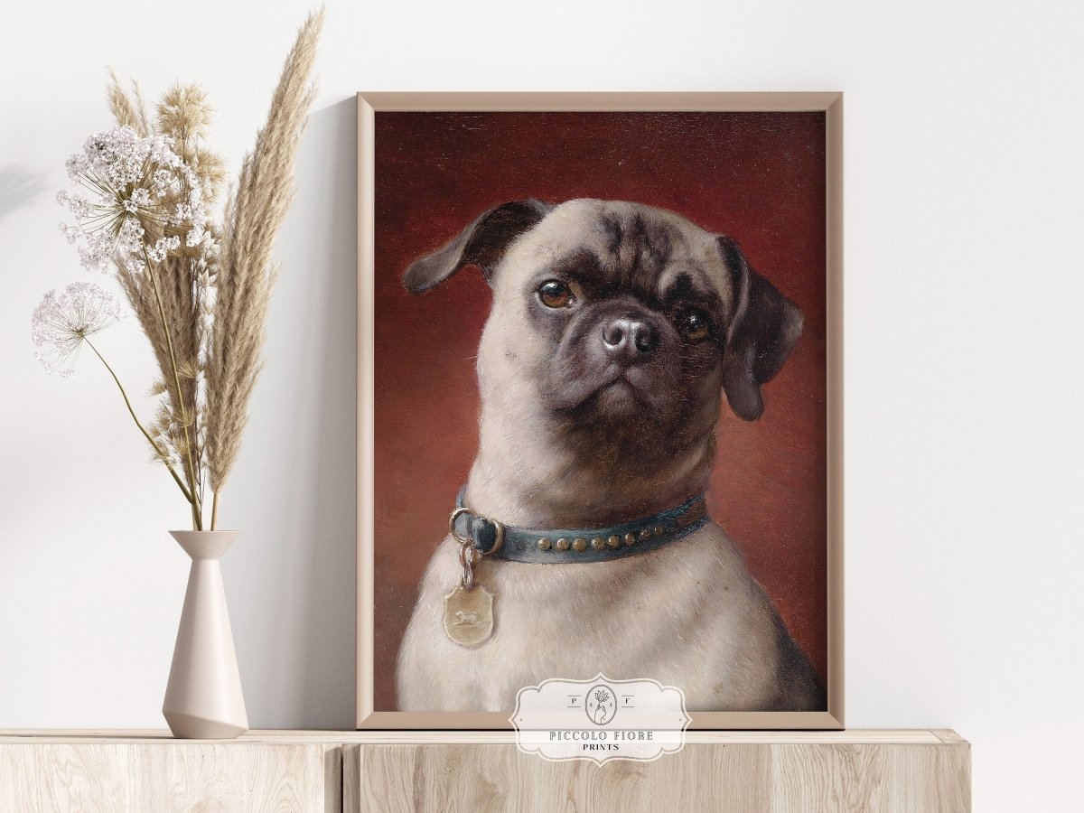 Pug | P437 - Single Art Prints - Piccolo Fiore Prints