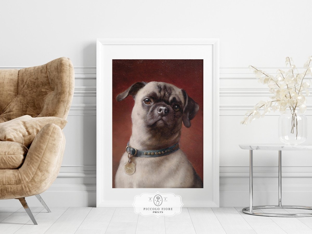 Pug | P437 - Single Art Prints - Piccolo Fiore Prints