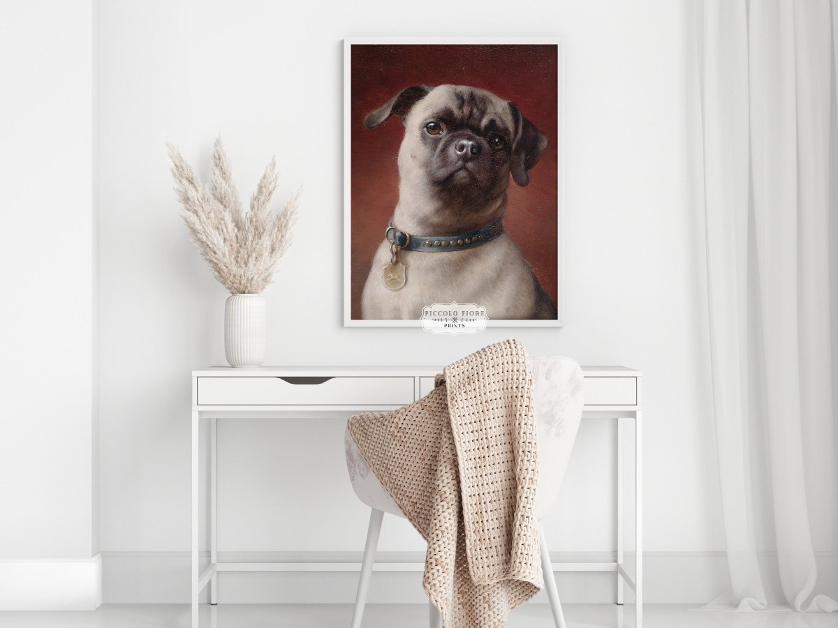 Pug | P437 - Single Art Prints - Piccolo Fiore Prints