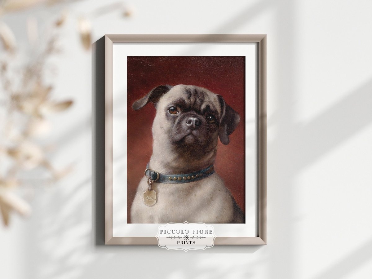 Pug | P437 - Single Art Prints - Piccolo Fiore Prints