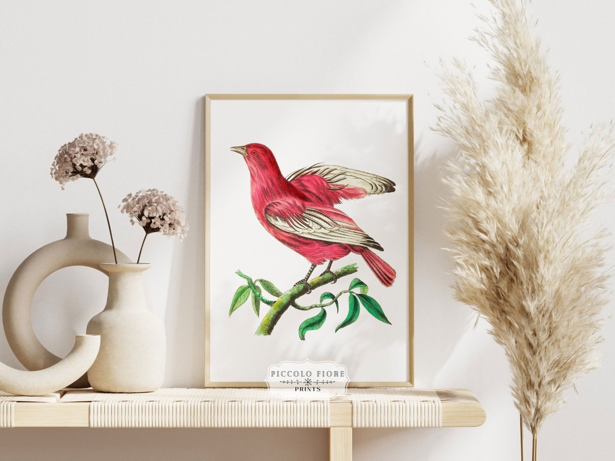 Purple Chatterer Illustration | P57 - Single Art Prints - Piccolo Fiore Prints