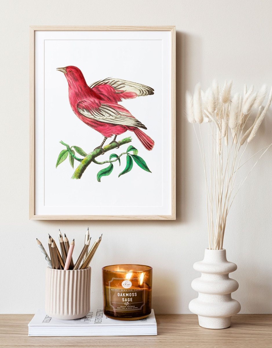 Purple Chatterer Illustration | P57 - Single Art Prints - Piccolo Fiore Prints