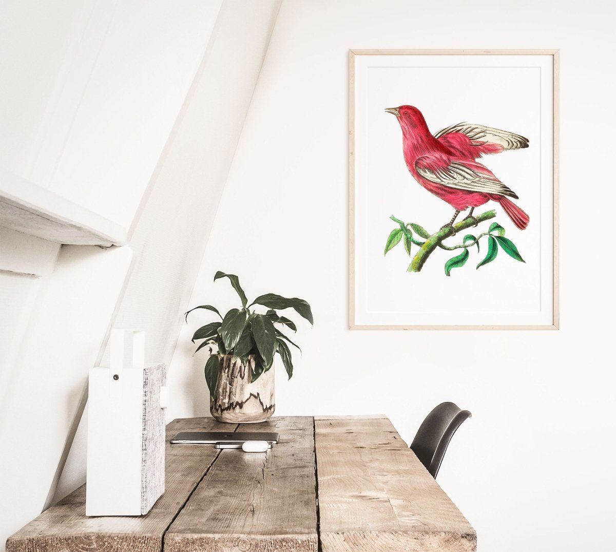 Purple Chatterer Illustration | P57 - Single Art Prints - Piccolo Fiore Prints