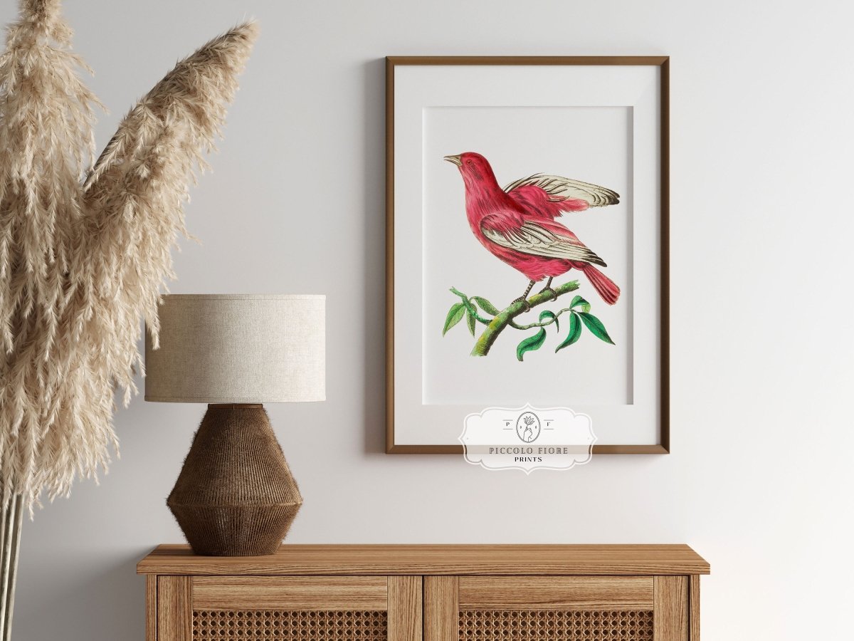 Purple Chatterer Illustration | P57 - Single Art Prints - Piccolo Fiore Prints