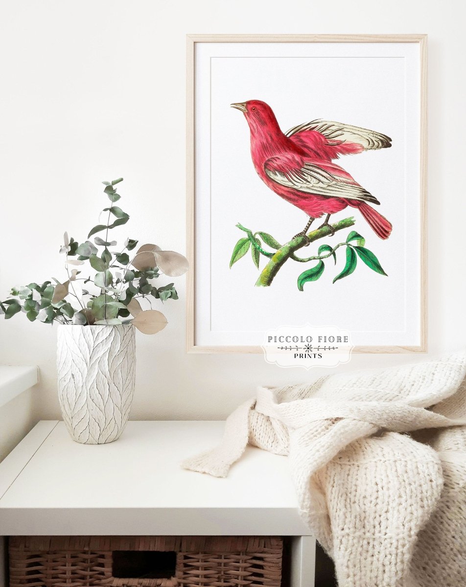 Purple Chatterer Illustration | P57 - Single Art Prints - Piccolo Fiore Prints