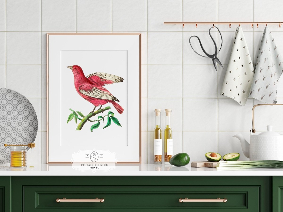 Purple Chatterer Illustration | P57 - Single Art Prints - Piccolo Fiore Prints