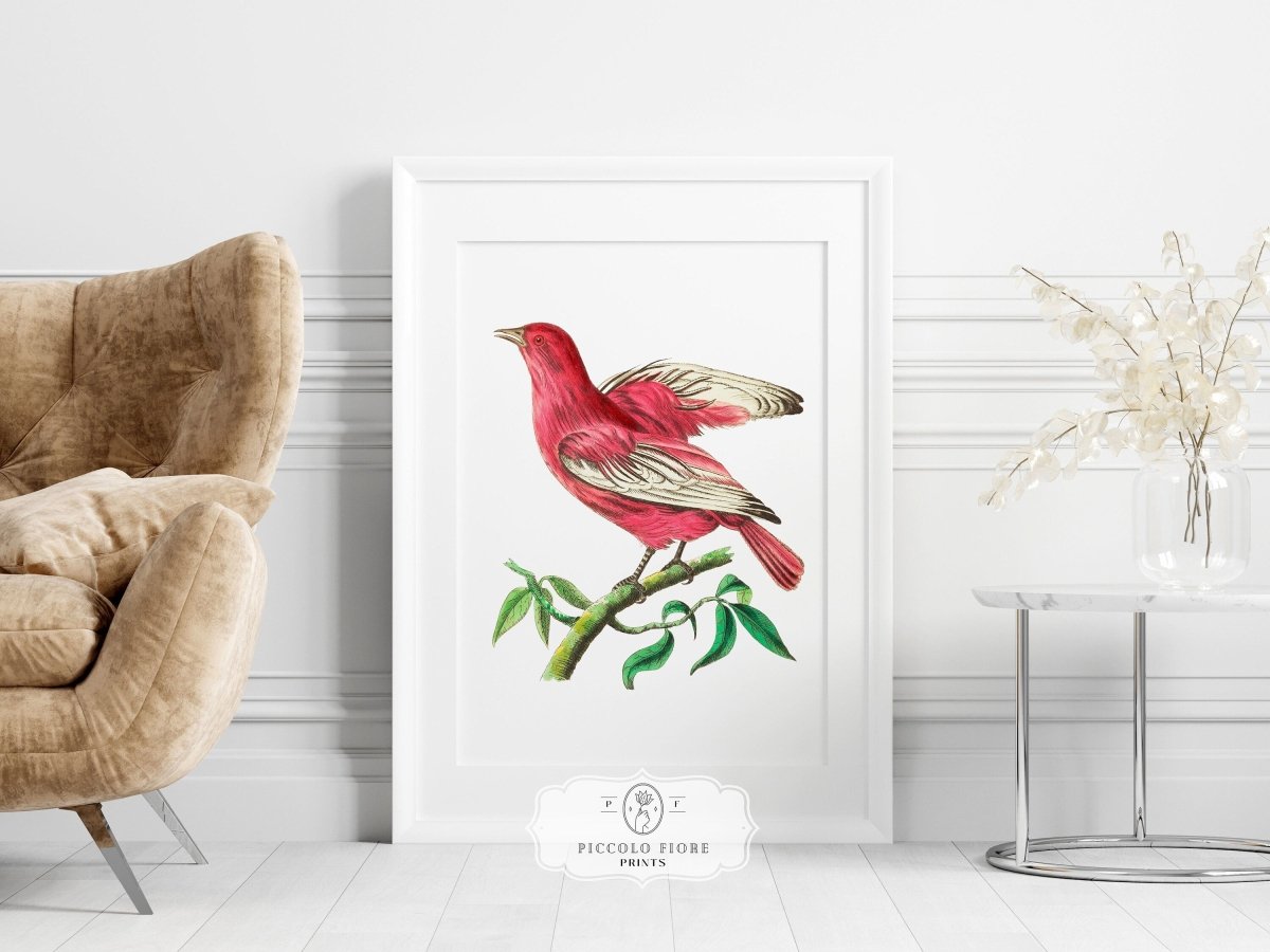Purple Chatterer Illustration | P57 - Single Art Prints - Piccolo Fiore Prints