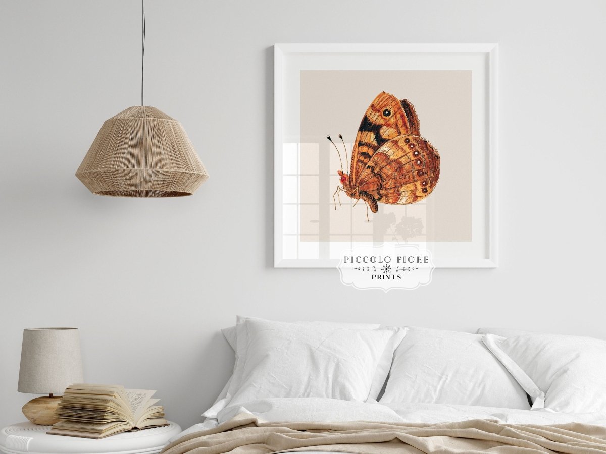 Rust Coloured Moth | P363 - Single Square Art Prints - Piccolo Fiore Prints