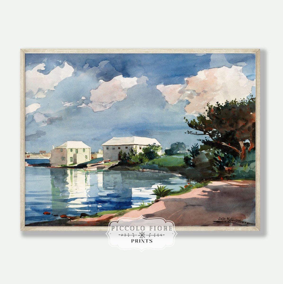 Salt Kettle, Bermuda | P159 - Single Art Prints - Piccolo Fiore Prints