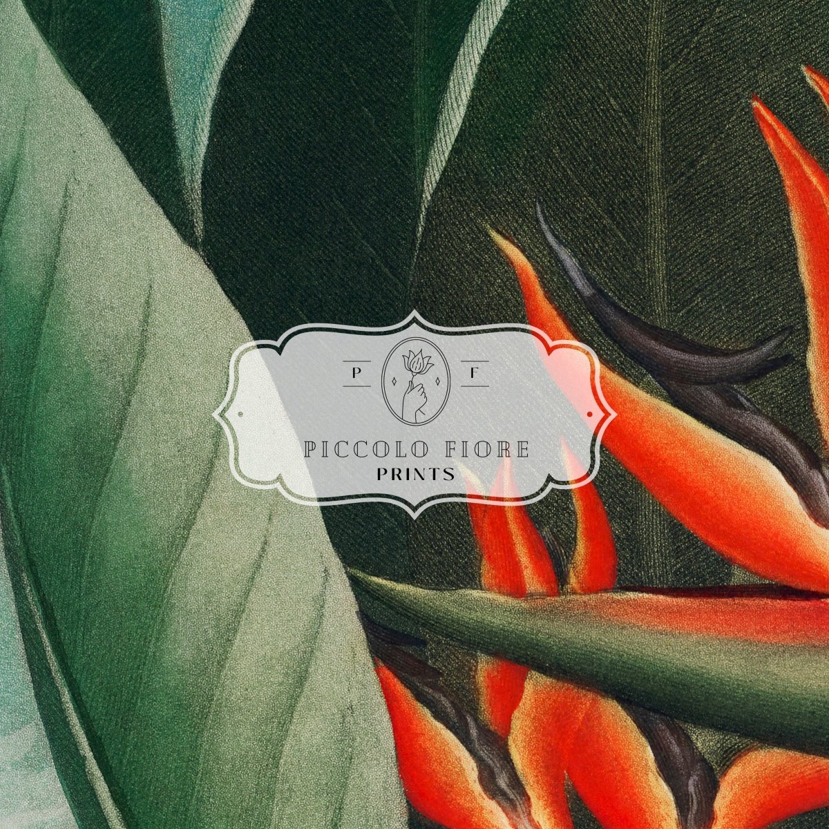 Samsung Frame TV Art | Bird of Paradise | TV1 - Frame TV Art - Piccolo Fiore Prints