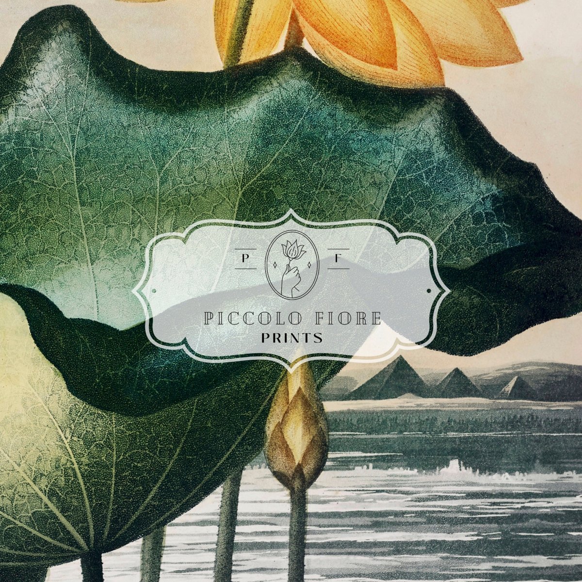 Samsung Frame TV Art | Tropical Leaf | TV2 - Frame TV Art - Piccolo Fiore Prints