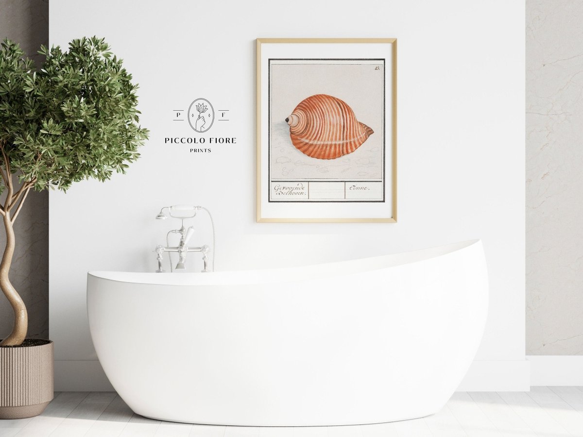 Sea Snail | P262 - Single Art Prints - Piccolo Fiore Prints