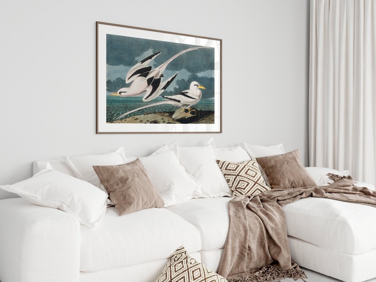 Seagulls | P12 - Single Art Prints - Piccolo Fiore Prints