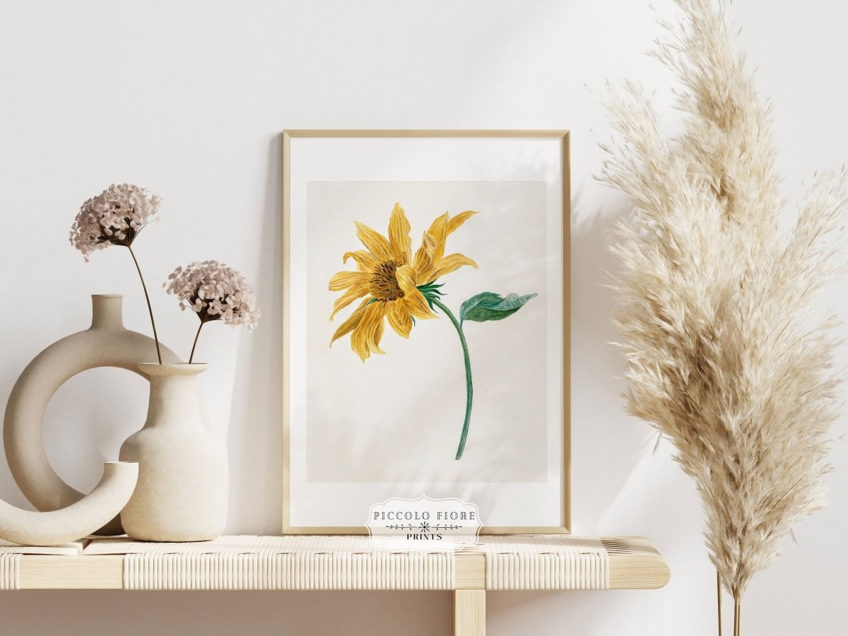 Single Sunflower | P368 - Single Art Prints - Piccolo Fiore Prints