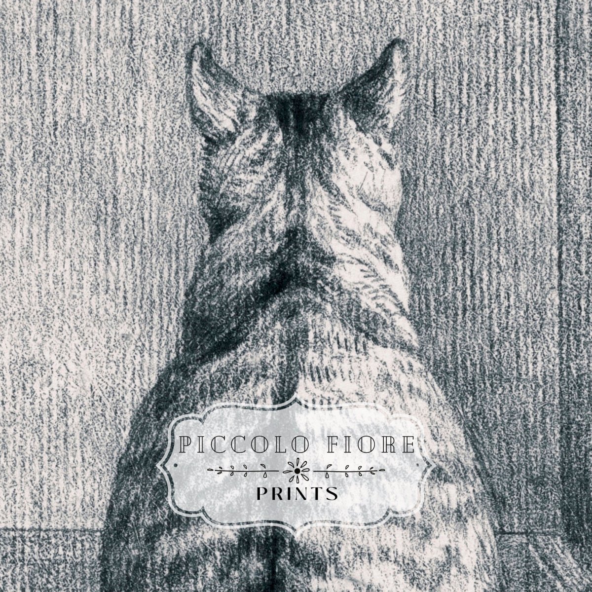 Sitting Cat Sketch | P215 - Single Art Prints - Piccolo Fiore Prints