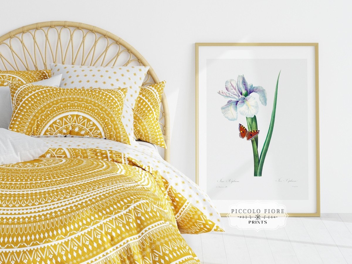 Spanish Iris and Butterfly Illustration | P556 - Single Art Prints - Piccolo Fiore Prints