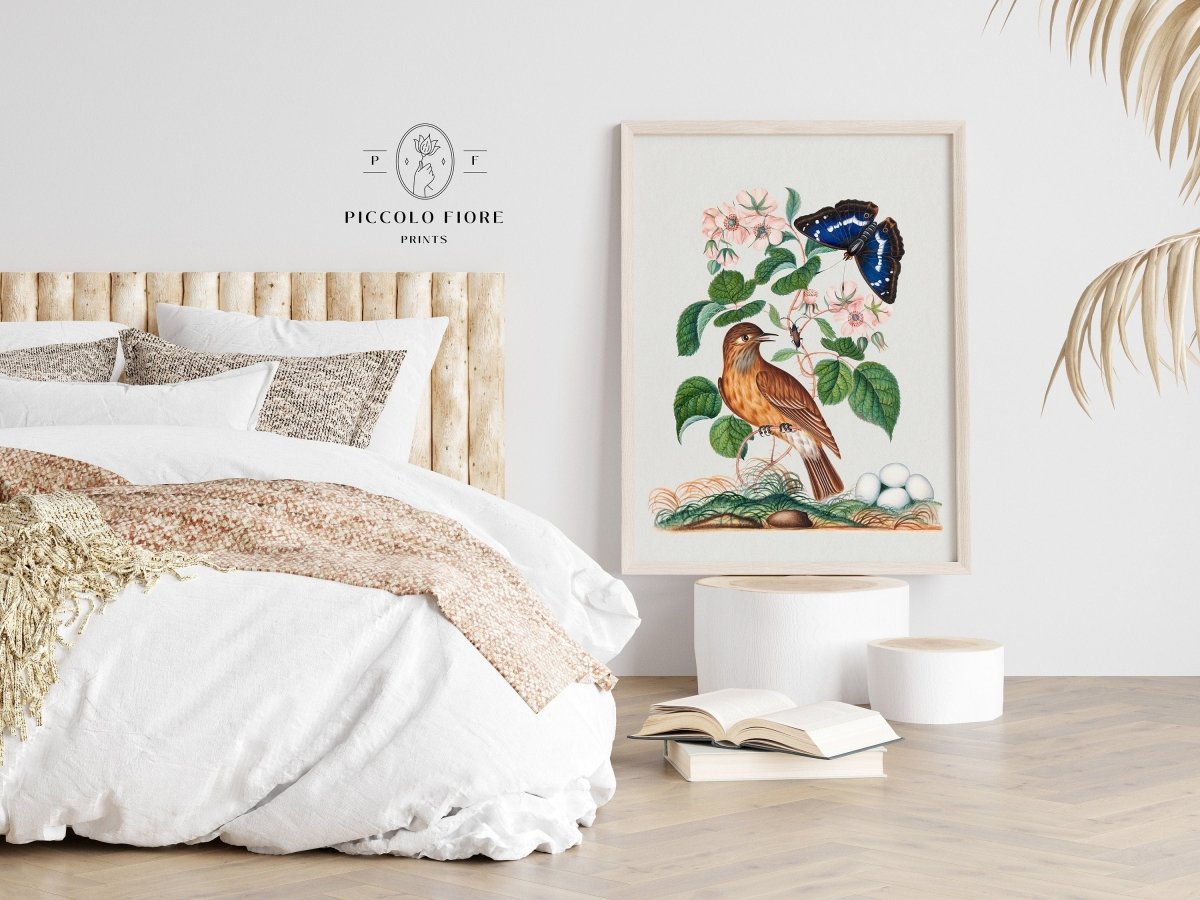 Spotted Flycatcher and Butterfly Illustration | P206 - Single Art Prints - Piccolo Fiore Prints
