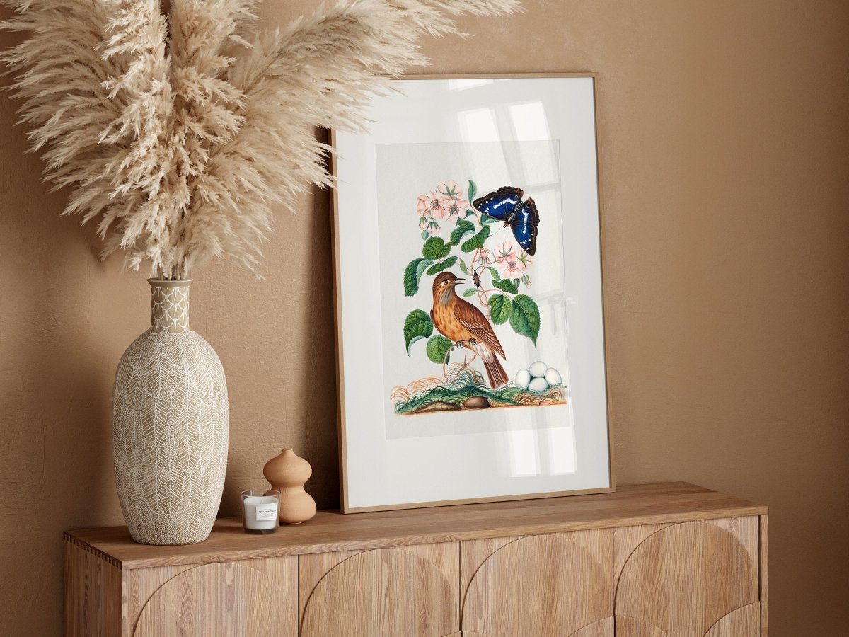 Spotted Flycatcher and Butterfly Illustration | P206 - Single Art Prints - Piccolo Fiore Prints