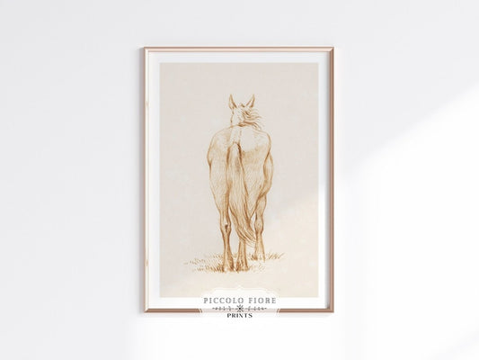 Standing Horse Sketch | P398 - Single Art Prints - Piccolo Fiore Prints