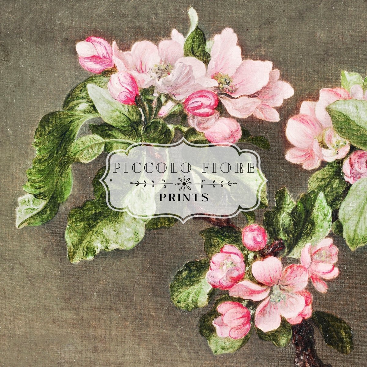 Still Life with Apple Blossoms | P146 - Single Art Prints - Piccolo Fiore Prints