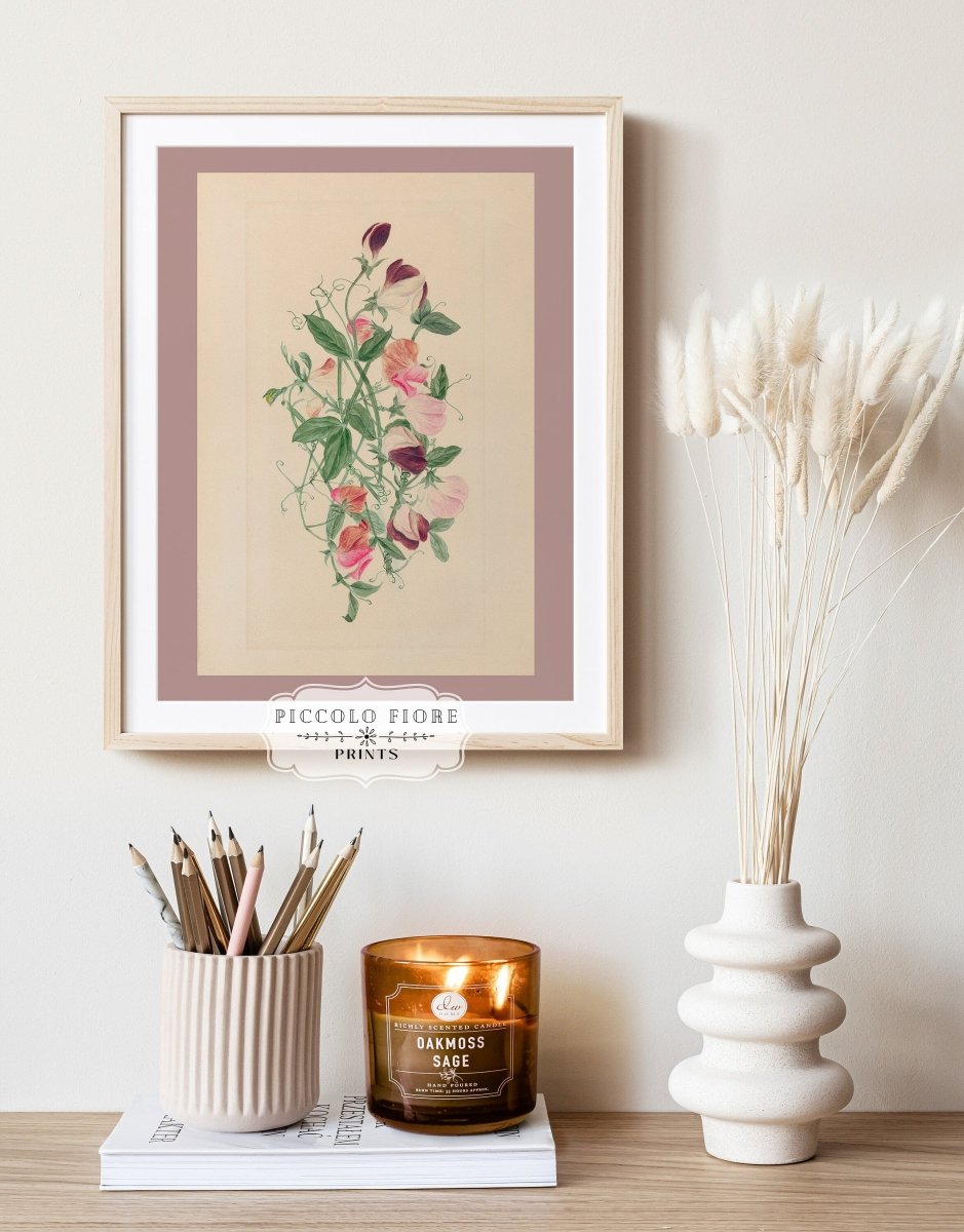 Sweet Peas | P472 - Single Art Prints - Piccolo Fiore Prints