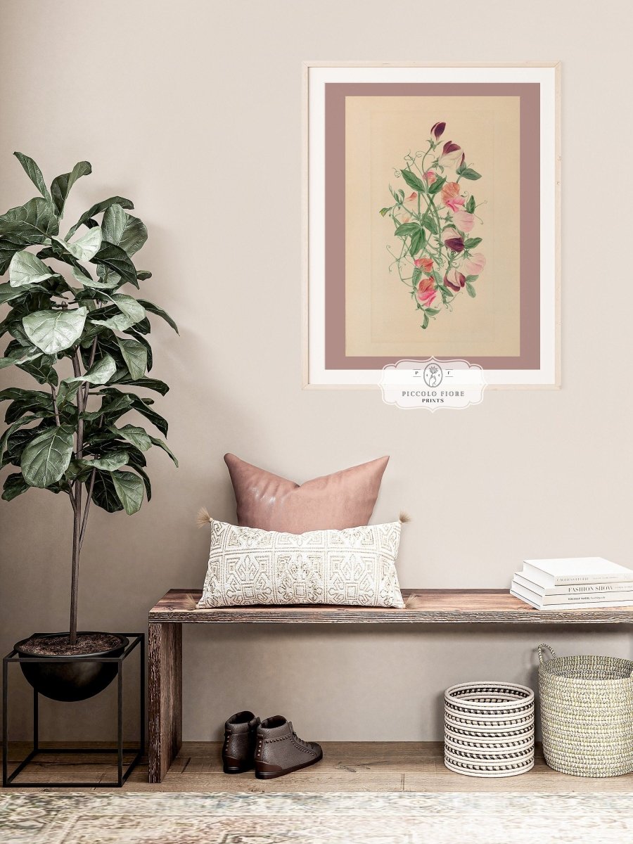 Sweet Peas | P472 - Single Art Prints - Piccolo Fiore Prints