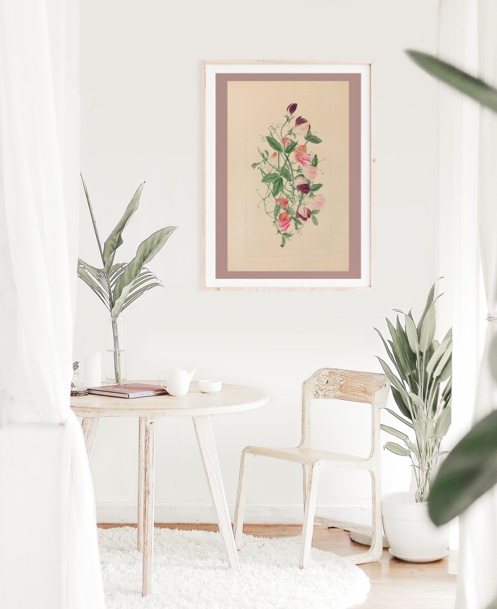 Sweet Peas | P472 - Single Art Prints - Piccolo Fiore Prints