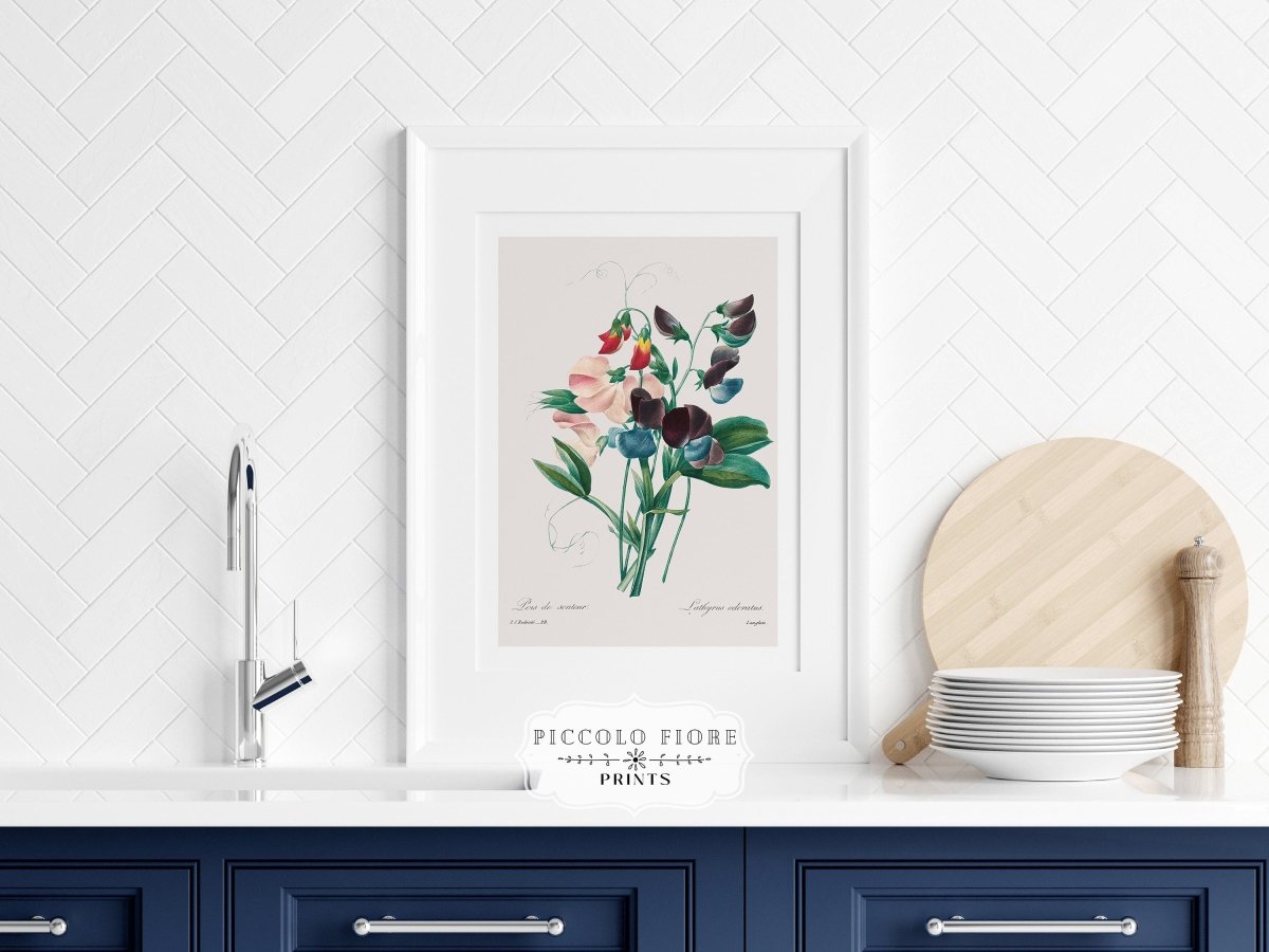 Sweet Peas | P494 - Single Art Prints - Piccolo Fiore Prints