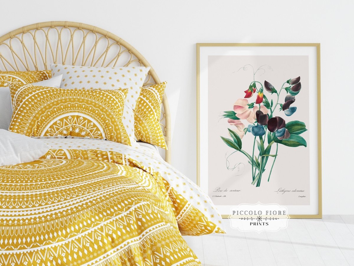 Sweet Peas | P494 - Single Art Prints - Piccolo Fiore Prints