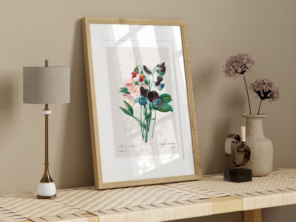 Sweet Peas | P494 - Single Art Prints - Piccolo Fiore Prints