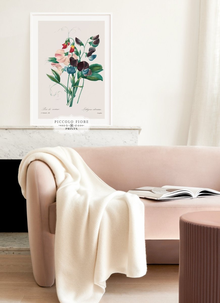 Sweet Peas | P494 - Single Art Prints - Piccolo Fiore Prints