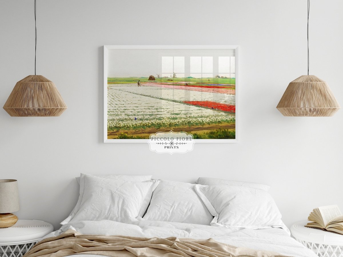 Tulip Fields | P108 - Single Art Prints - Piccolo Fiore Prints