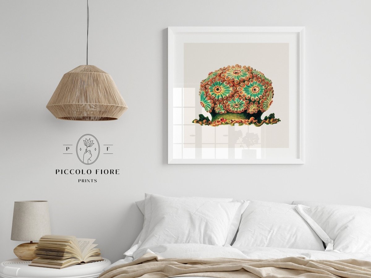 Tunicate II | P308 - Single Square Art Prints - Piccolo Fiore Prints