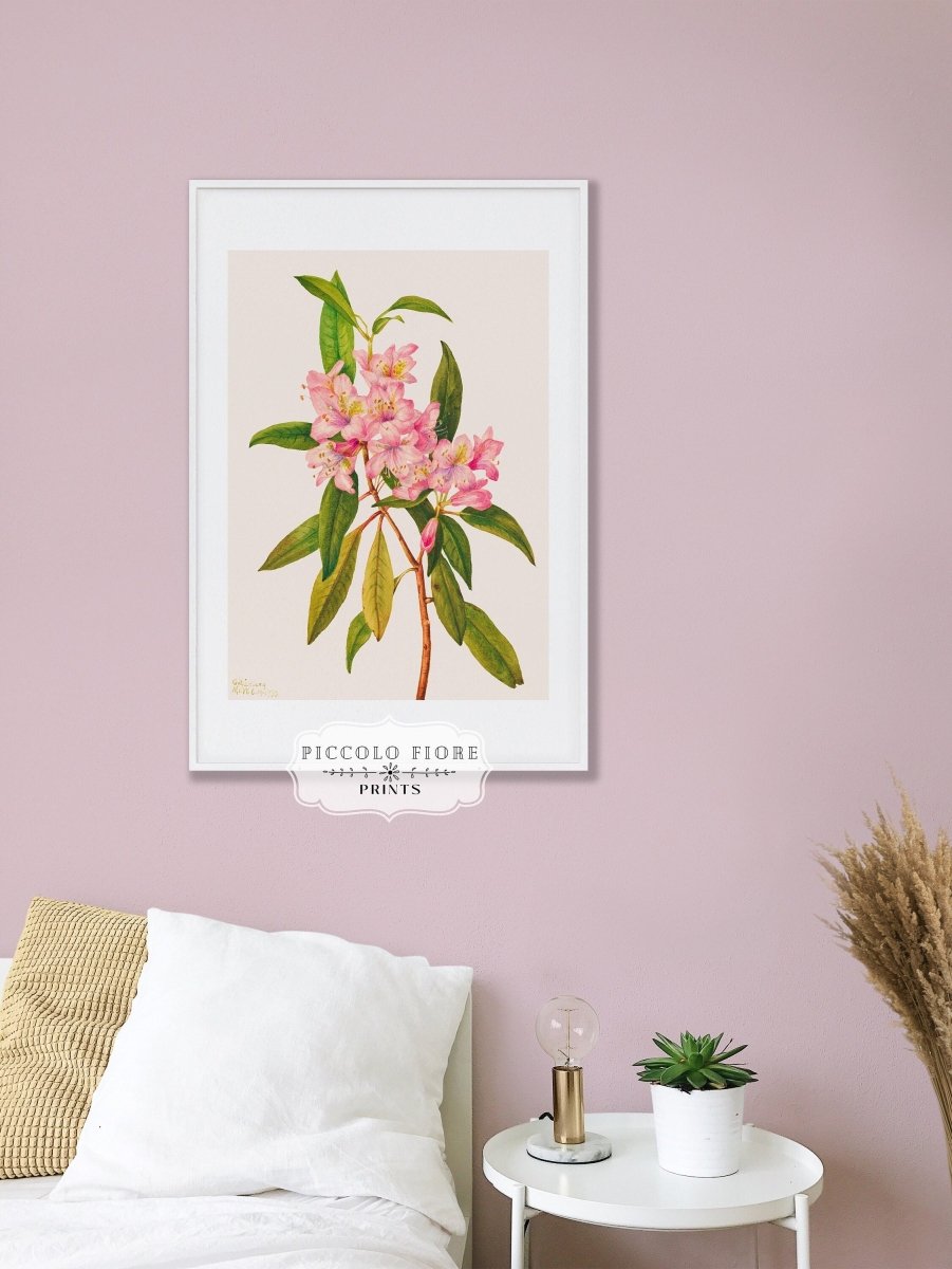 Vibrant Pink Floral | Gallery Wall Set | 5 Prints | M5 - 7 - Gallery Wall Set - Piccolo Fiore Prints