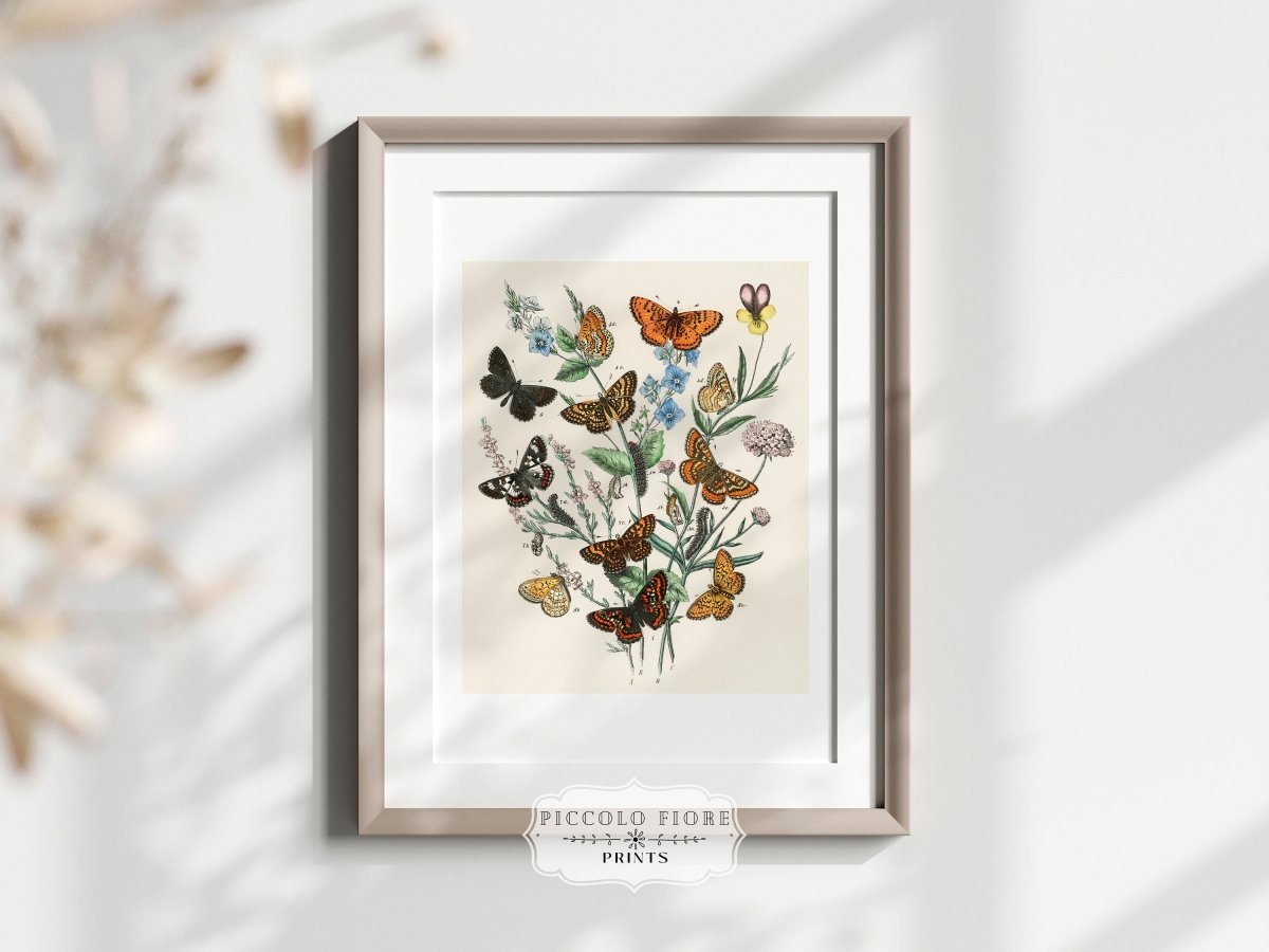 Vintage Butterfly and Caterpillar Art Print | Botanical Wall Art | Flowers and Butterflies Illustration | Instant DIGITAL DOWNLOAD | P28 - Single Art Prints - Piccolo Fiore Prints