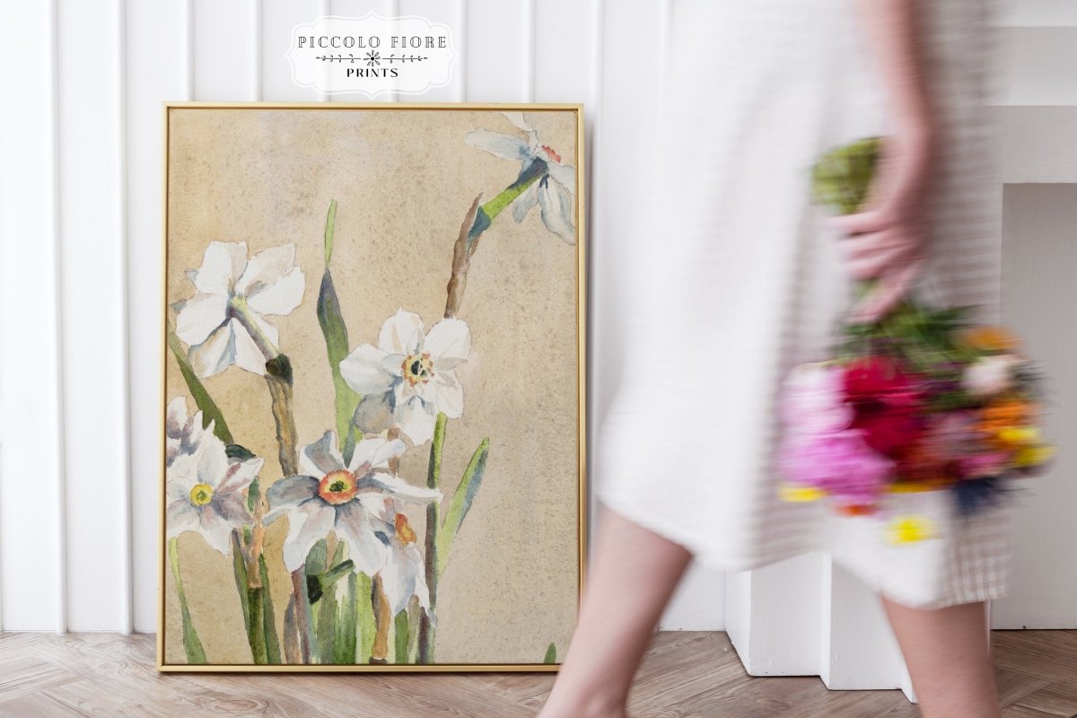 White Narcissus | P77 - Single Art Prints - Piccolo Fiore Prints