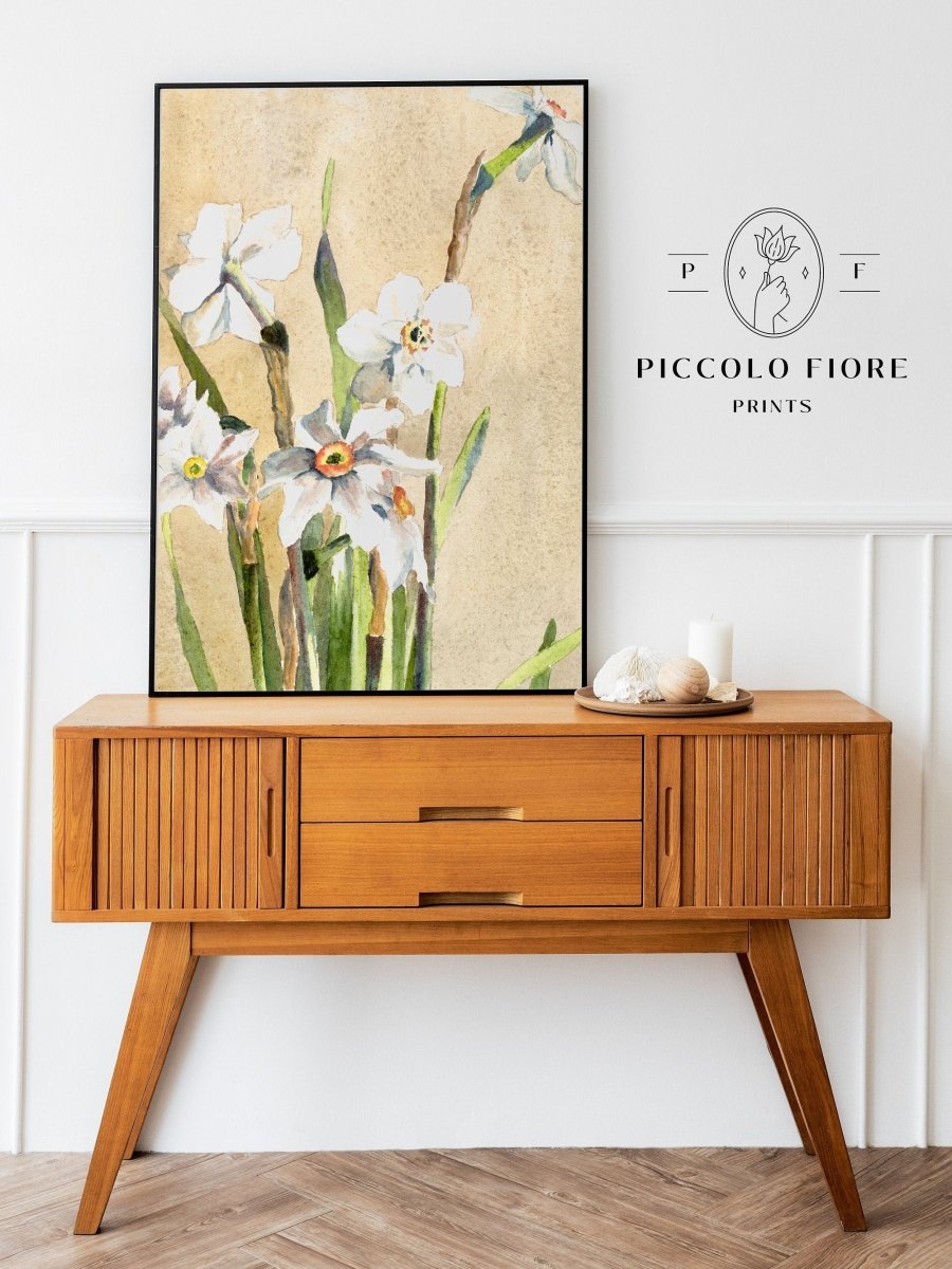 White Narcissus | P77 - Single Art Prints - Piccolo Fiore Prints