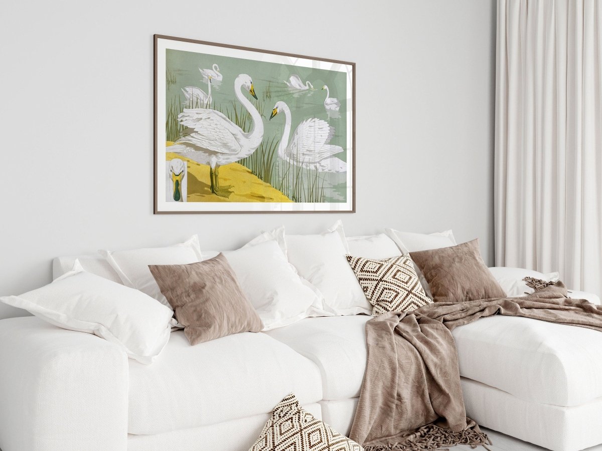 White Swans | P351 - Single Art Prints - Piccolo Fiore Prints