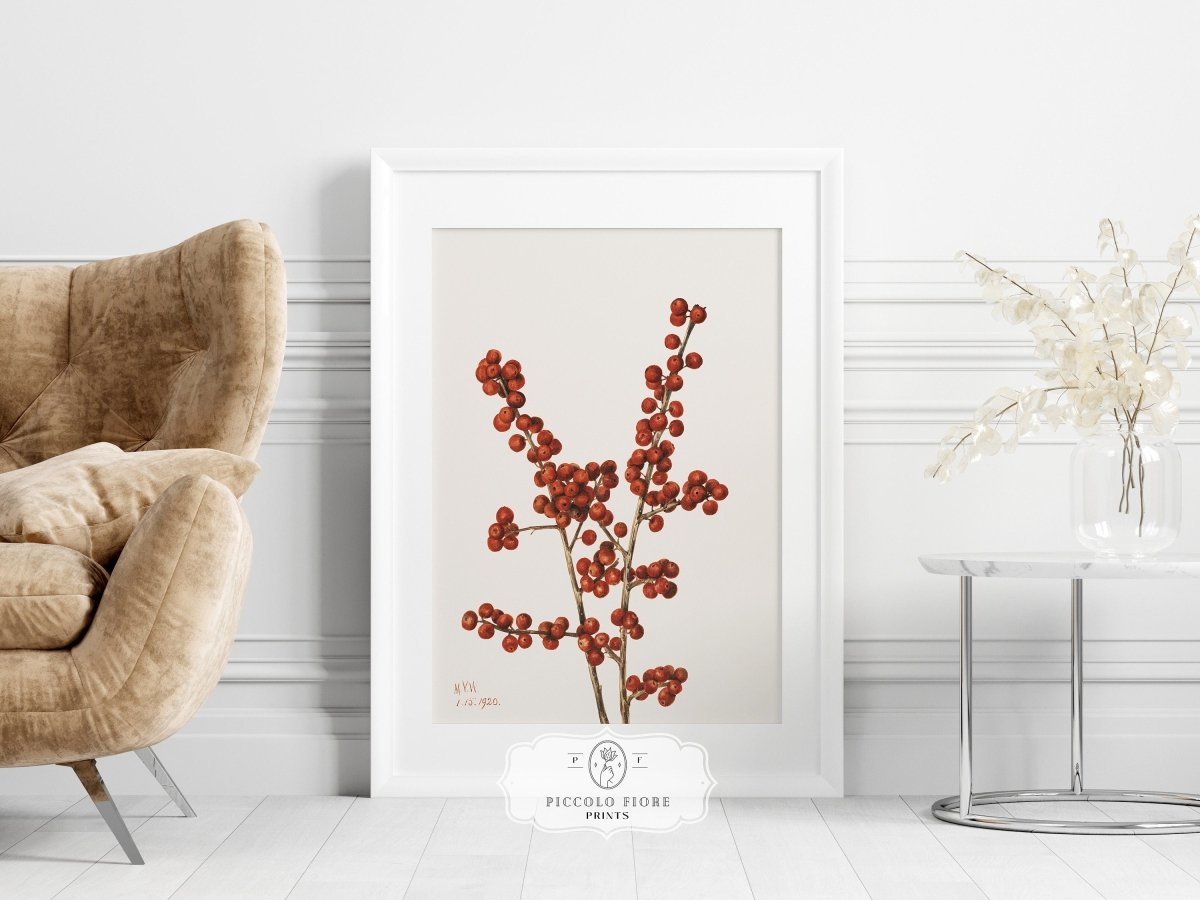 Winterberry Illustration | P469 - Single Art Prints - Piccolo Fiore Prints
