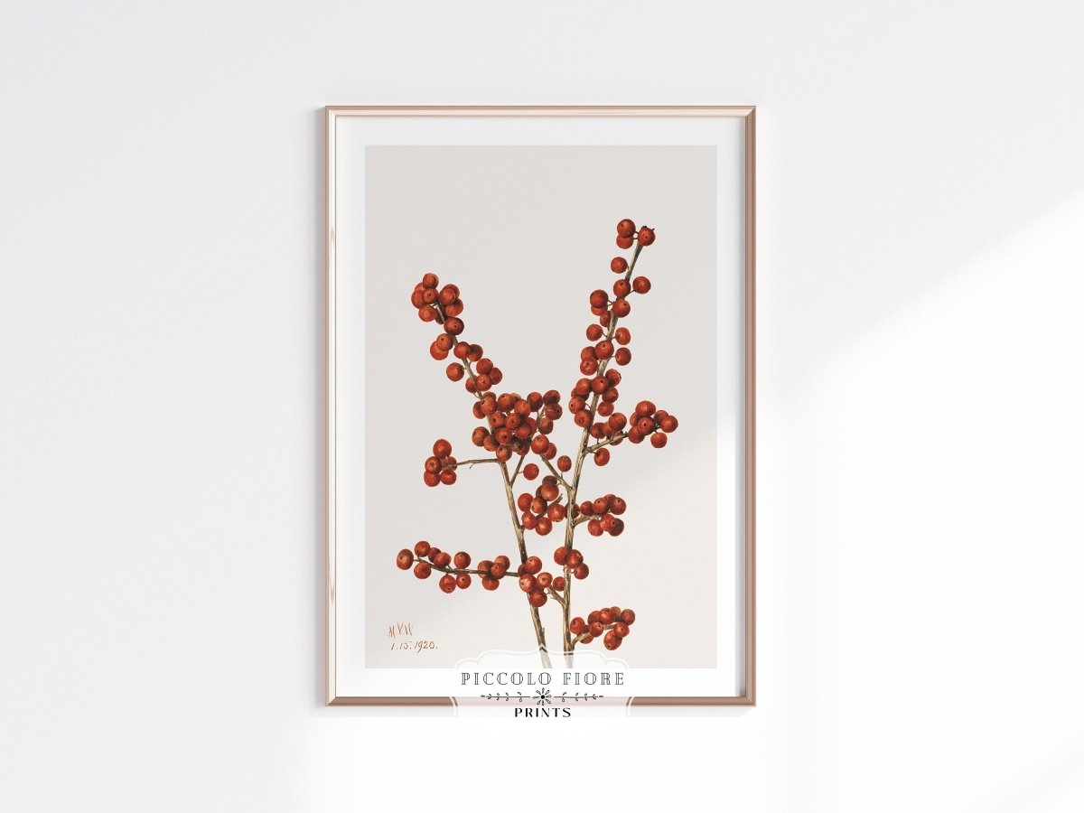 Winterberry Illustration | P469 - Single Art Prints - Piccolo Fiore Prints